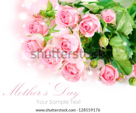 Tender pink roses isolated on white