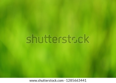 shade and tone of green background in Aurora style
