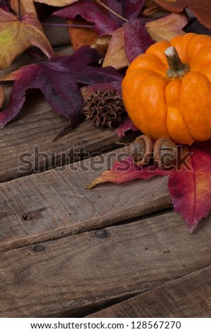 Rustic Fall Setting with a Mini Pumpkin, Seed Pods, and Leaves on Rustic Wood in Vertical with Copyspace