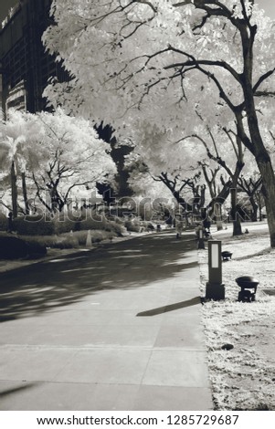An infrared image of black and white trees in a park.