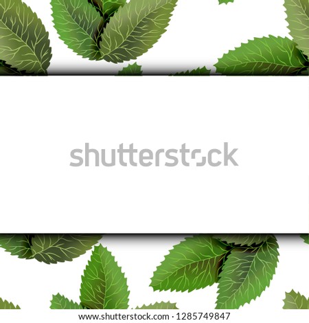 Square frame, overgrown tree branches with green leaves on wooden background. Blank for advertising card or invitation.