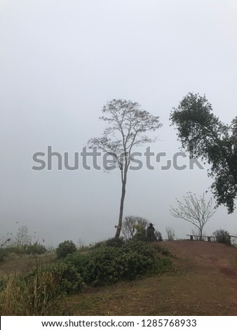 A lonely person  sitting and feel relaxing with nature in the morning ,fog day