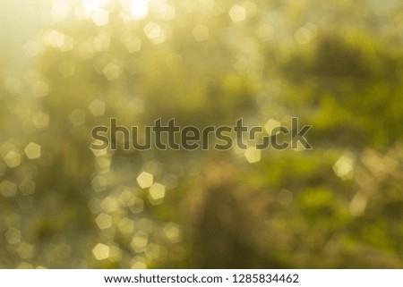abstract bokeh background
