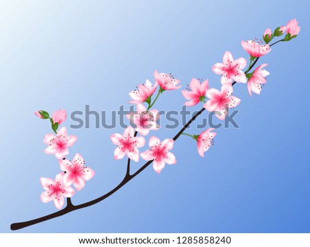 Peach blossom branch vector illustration. Blooming twig isolated on blue sky background, springtime tree flower blossoms seasonal design. Awesome spring flowering tree branch vector.