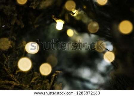 Close up of a christmas tree branch with bokeh and a small light