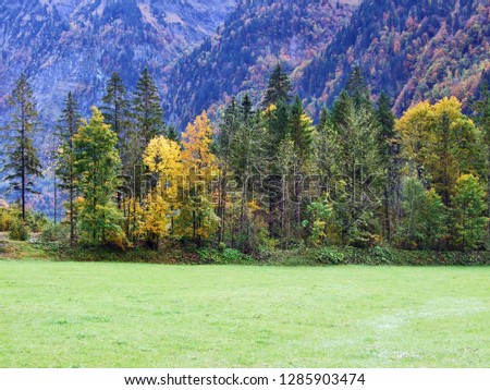 Autumn pastures and farms in the valley of lake Klöntalersee (Klontalersee or Kloentalersee) or in the Klöntal (Klontal or Kloental) valley - Canton of Glarus, Switzerland