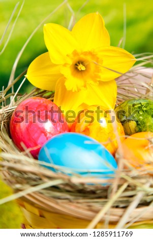  Easter eggs and tulips on wooden planks with German text Happy Easter Easter background