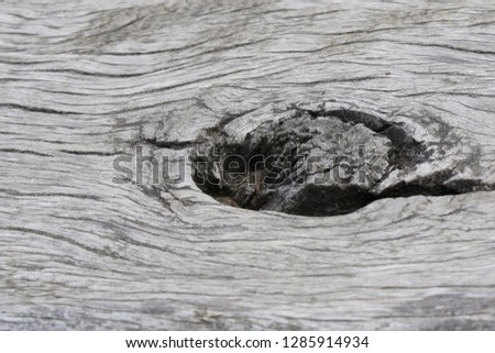 Closeup detail of wooden plank with trunk knot from old branch