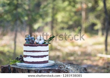 chocolate cake in the forest