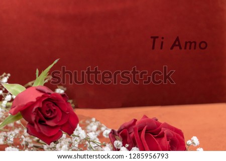 Valentine's Day gift, a rose and the message in Italian "Ti amo". Ti amo is I love You in Italian
