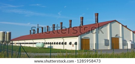 banner fenced fattening farm Royalty-Free Stock Photo #1285958473