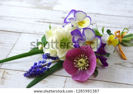 Bouquet of a pansy, hellebore and a muscari, Floral bouquet in spring, Flower in the spring when it was placed on the table