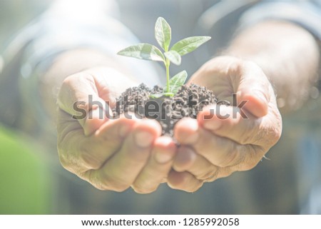 Green plant in human hands on blurred background Royalty-Free Stock Photo #1285992058