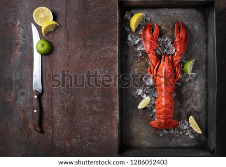 Lobster in a dark grey rusty tray served on ice with lemon and live, top view, vintage style