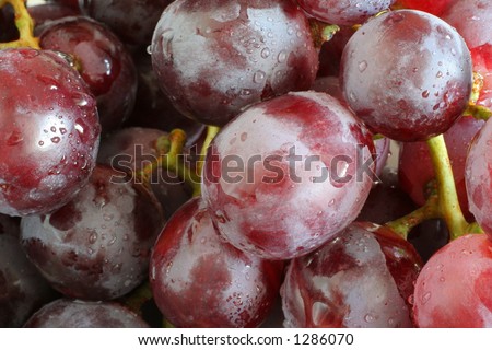 wet grapes macro, looking really fresh and teasty