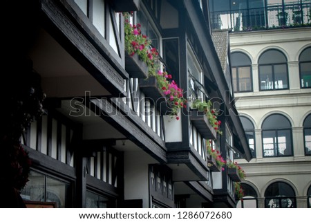 European-style residential buildings are decorated with beautiful flowers