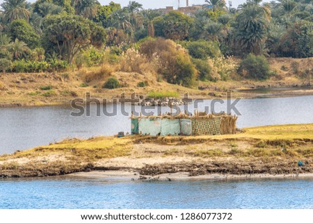 Life on the Nile River. Traditional Egyptian settlement on the banks of the River Nile