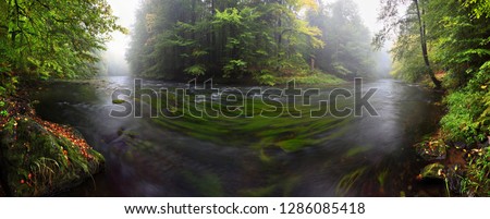 Autumn landscape, colorful leaves on trees, morning at river. Autumn stream. A misty morning near a picturesque river, Germany, Europe
Fresh green leaves on branches above water 