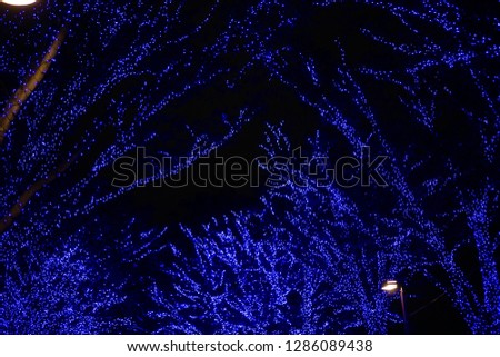 Crowd of people and Christmas holiday light trees (Tokyo, Japan)