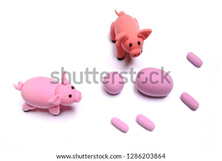 The birth of a little pig                              