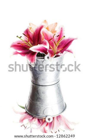 image of some lily flowers isolated on white background in a vase