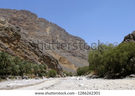 Desert adventure on wadi