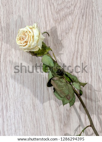 bouquet of withered flowers