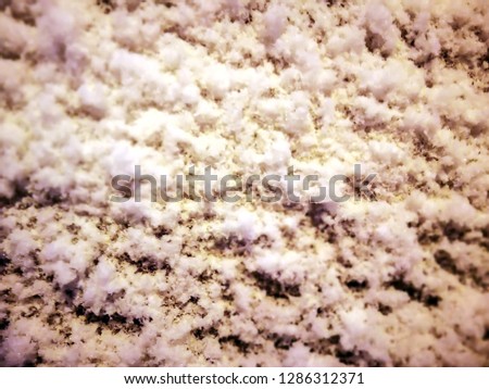 texture of fresh snow, toned background. Seamless square background, tile ready. abstract speckled texture for a background or for wallpaper of pale white gray color. White wool texture