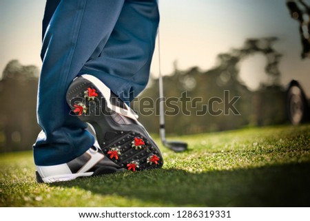 Sprigs on the sole of a pair of golf shoes.