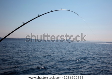 Salmon Fishing in Puget Sound, Seattle, Washington State, USA.