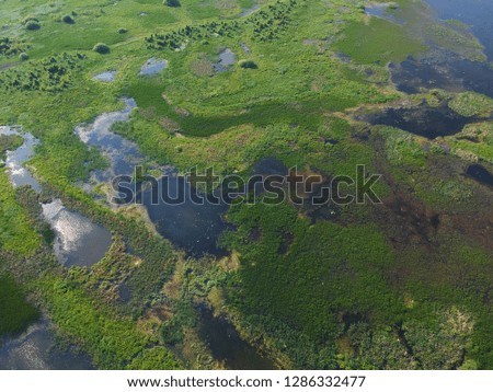 photo swamp with drone,
Amazon photo from drone,beautiful green background