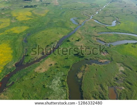 photo swamp with drone,
Amazon photo from drone,beautiful green background