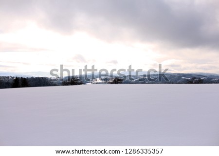 winter landscape,fresh snow,sky with long shadows,Pine trees covered with snow.Beautiful winter panorama - Image