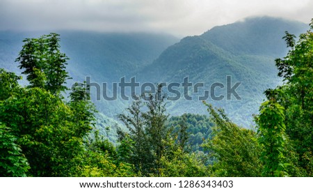 Foggy hillsides, green meadows and forests under blue / gray dramatic sky with clouds. Landscape with grass field. Vibrant mountainous countryside in autumn. Colorful forest on a grassy hillside.