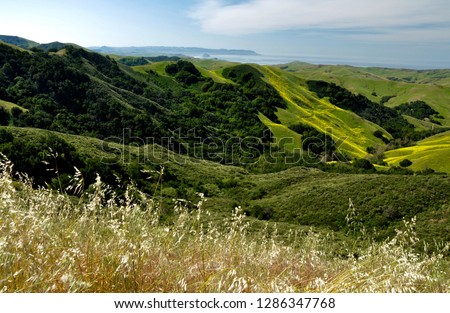 Rolling Hills of Northern California 