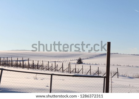 winter landscape  on beautiful fresh day - Image