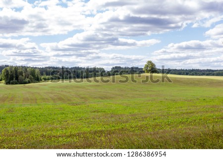 Green field, tree and blue sky.Great as a background,web banner