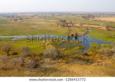 Okavango Delta aerial view, Botswana. The Okavango Delta is home to a rich array of  wildlife.