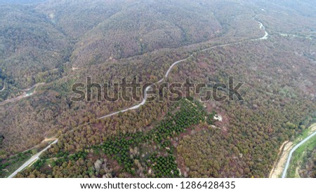 Cloudy Forest View from the Air 4
