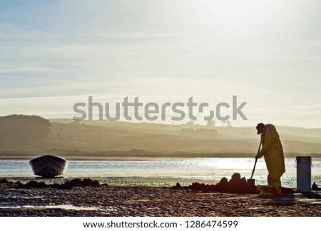 Fisherman digging for clams on the beach.
