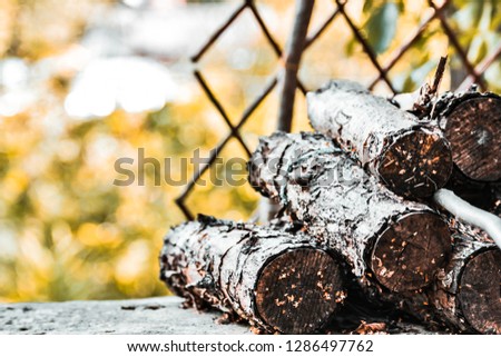 Logs of firewood