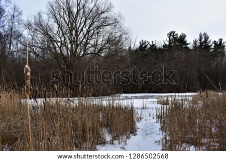 Frozen lake in Canada