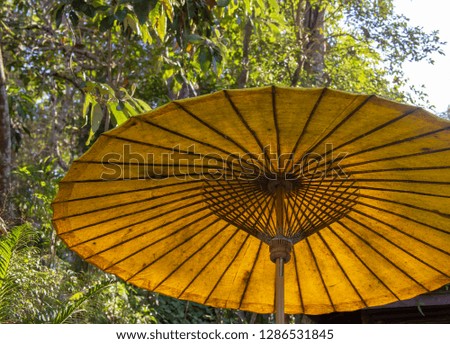 Traditional yellow umbrella in Thailand