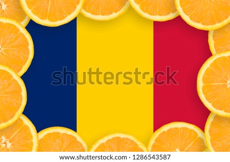 Chad flag  in fresh citrus fruit slices frame