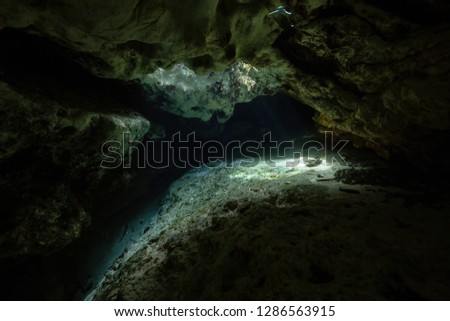 Beautiful view of an underwater cave formation. Taken in 7 Sisters Springs, Chassahowitzka River, Florida, United States of America.