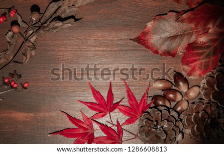 A picture of autumn