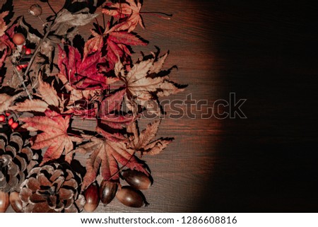 A picture of autumn