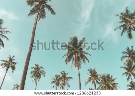 Copy space tropical palm tree with sun light on blue sky and cloud abstract background. Summer vacation and nature travel adventure concept. Vintage tone filter effect color style.