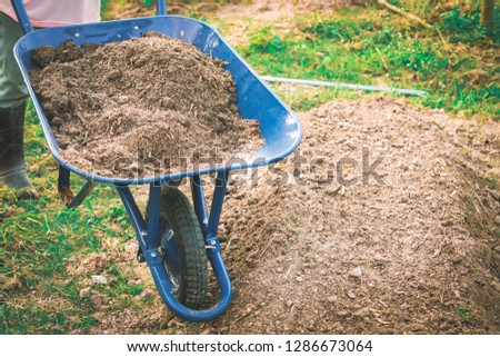 Organic farming,Cart dumpers Equipment use for agriculture,Farmers are preparing the soil before planting plants.Dumpers in the garden