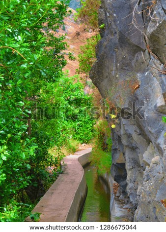 Trail with trees and rock. Pavement in the nature. Madeira hiking. Photography from vacation in the green nature.